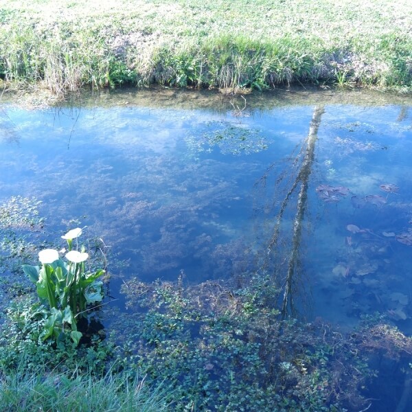 Laghi del Farfa